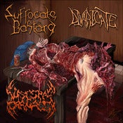 Image of CD - "Mutilated and Split into Thirds"