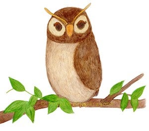 Image of Wise Old Owl, Fine Art Wall Print 8x10, Children, Nursery, Illustration