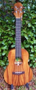 Image of Big Island Honu Koa Tenor w/case