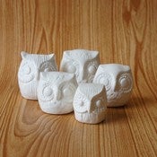 Image of Owl Family of Five by Pirdy