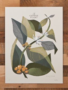 Image of The Coffee Plant (Branch) - Limited Edition (Sold Out)