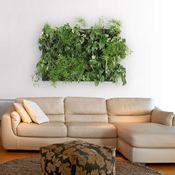 Image of Pared Vegetal con Riego x4