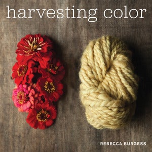 Image of Harvesting Color