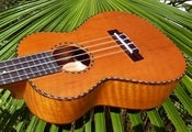 Image of Makai Solid Mango Series M-K90 Concert