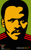Image of Limited Edition Tribute Steve Biko Poster