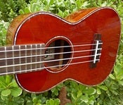 Image of Ohana CK-50GS Solid Cedar/Rosewood Concert