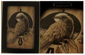 Image of SOLD OUT- DARKLANDS