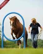 Image of The Horse Agility Club Hoop ©