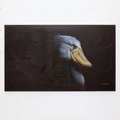Image of SHOEBILL