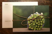 Image of {brilliant hues} 4 X 5.5 blank recipe cards