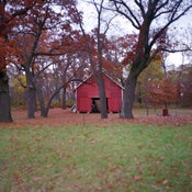 Image of Autumnal Illinois