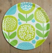 Image of Limited edition green/blue tray