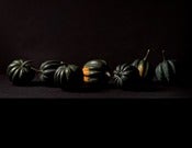 Image of Honey Bear Acorn squash