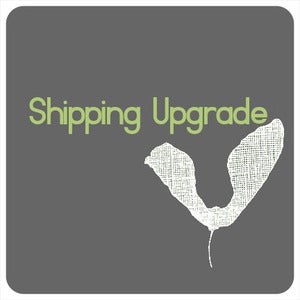 Image of SHIPPING UPGRADE, International AIRSURE.