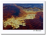 Image of Oil Flow POM