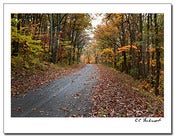 Image of Fall Splendor POM