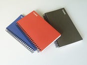 Image of Plan B Diary