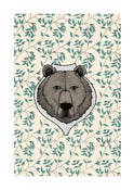 Image of bear on wall paper
