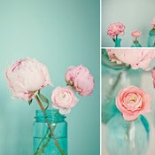 Image of Bloom - Pack of 3 postcards