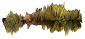 Image of "Muammar"