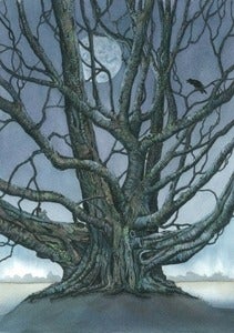 Image of "All we have to decide is what to do with the time that is given us"  ~JRR Tolkien