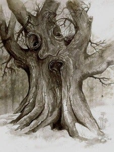 Image of "Fred's Fear of Spiders Gets the Best of Him"