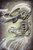 Image of Vulture Muse
