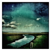 Image of Tess Gomm - The Walk 