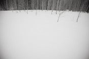 Image of Winter