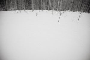 Image of Winter