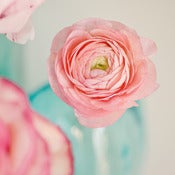 Image of Bloom II