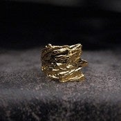 Image of Winged Bark Ring