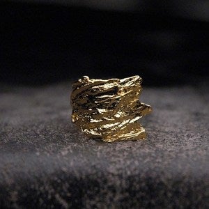 Image of Winged Bark Ring