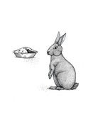 Image of Rabbit Pie