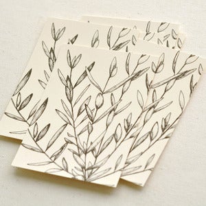 Image of Olive Branches