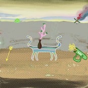 Image of the narrow musketeer