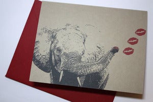 Image of Elephant Kiss note cards