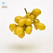 Image of Evan Miller: Beeswax Ephemera
