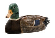 Image of MALLARD MONEY BOX