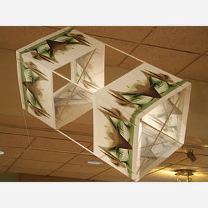 Image of Owl King Box Kite