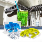 Image of Fossil Iced Ice Tray