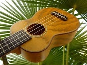 Image of Makai Limited Series LK-50W Willow Soprano