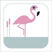 Image of Florence Flamingo