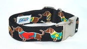 Image of Dachshund Parade Dog Collar
