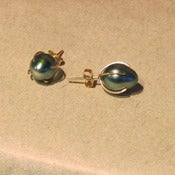 Image of Tahitian Pearl Studs