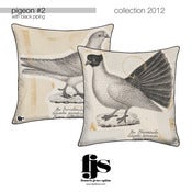 Image of pigeon #2
