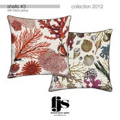 Image of shells #3