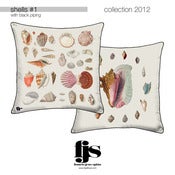 Image of shells #1