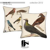 Image of birds #2