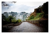 Image of La Nebbia